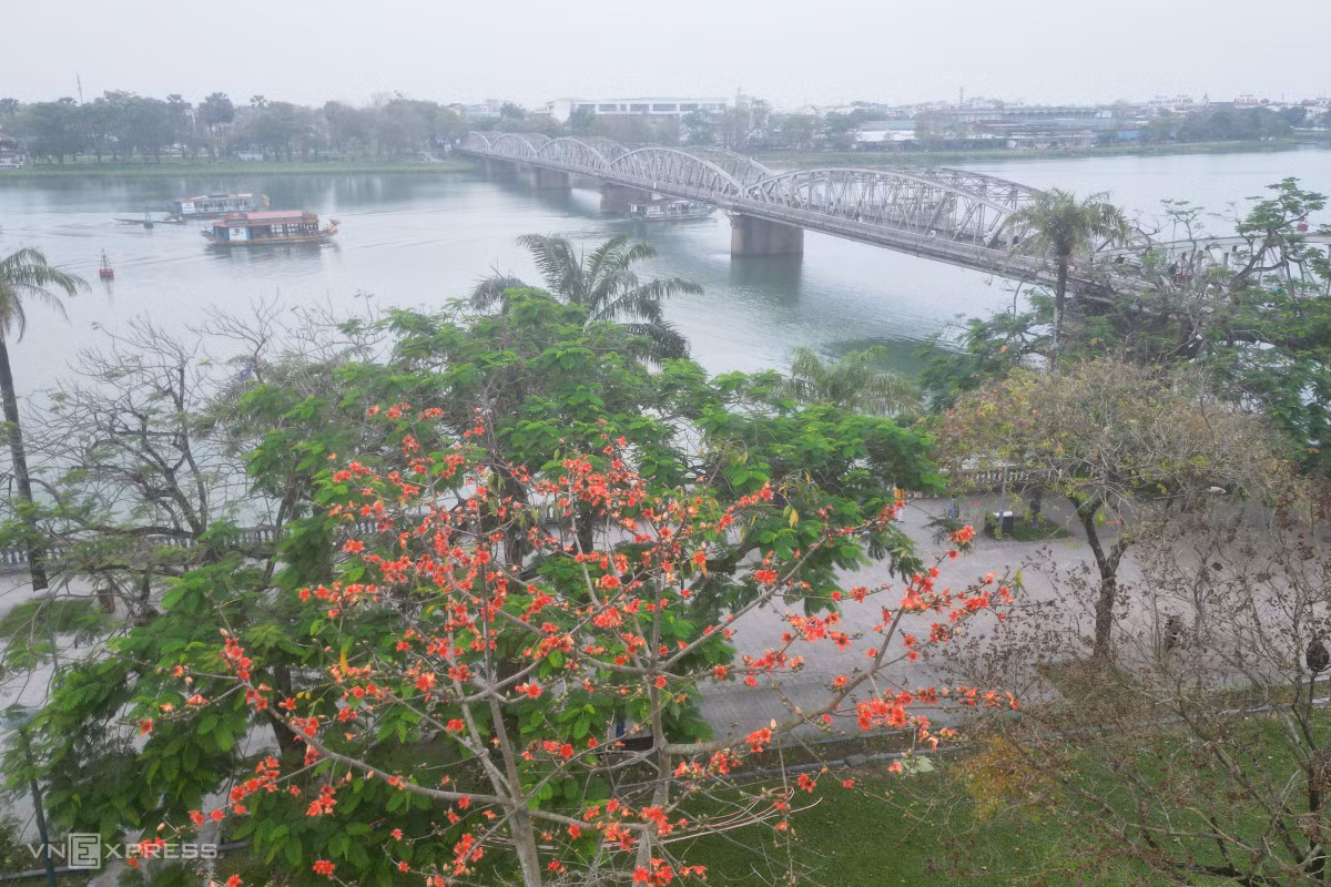 Mùa hoa gạo bên dòng sông Hương ảnh 6
