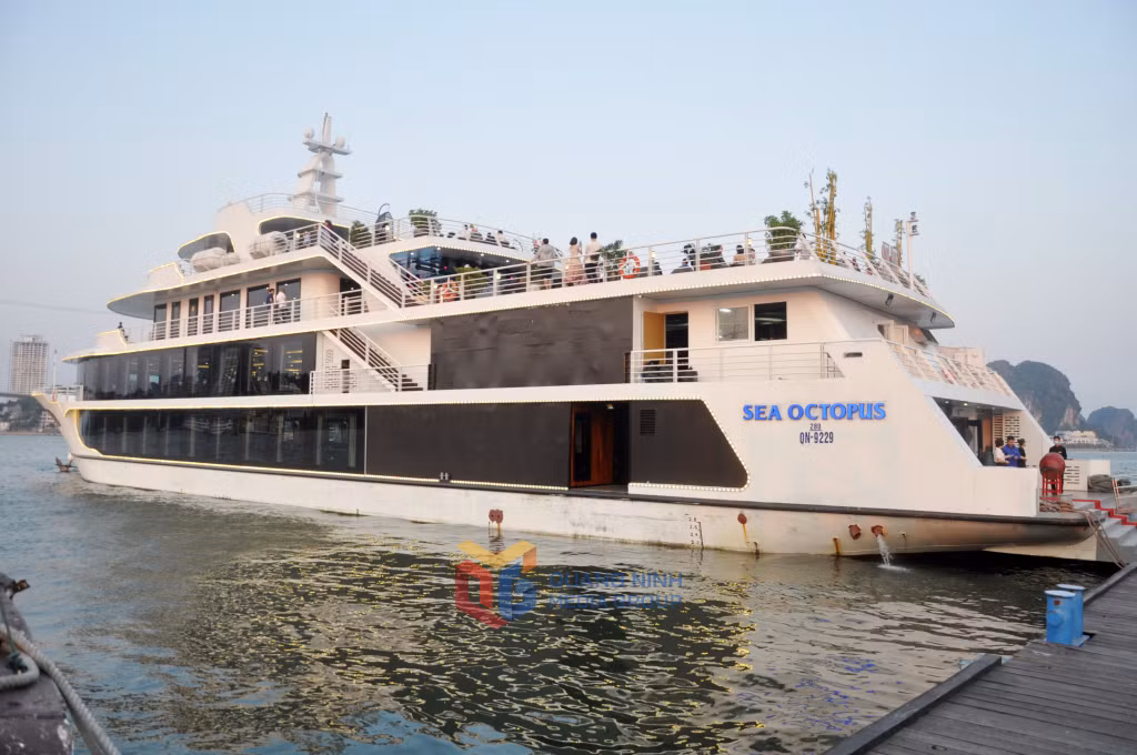 Sea Octopus là một trong những tàu nhà hàng được doanh nghiệp đầu tư phục vụ du khách đến với Hạ Long.