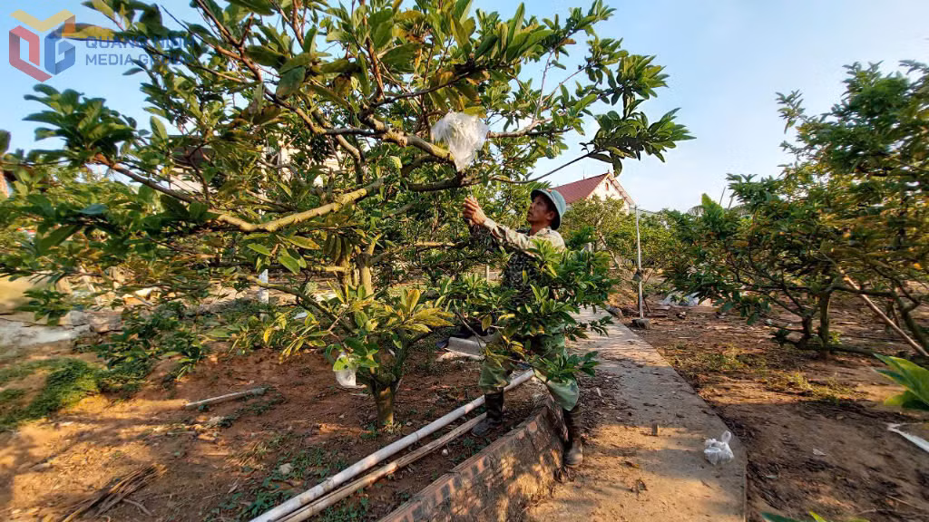 Hội viên nông dân xã Việt Dân tích cực tham gia mô hình xây dựng sản phẩm na an toàn.