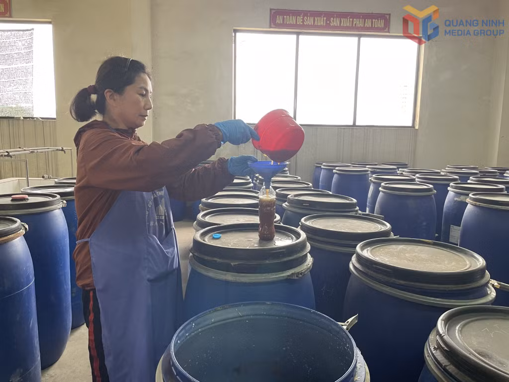 Sản xuất chế phẩm G-tex phục vụ trồng rau an toàn tại Công ty CP Đầu tư và Xây dựng Việt Long. Ảnh: Yến Vy