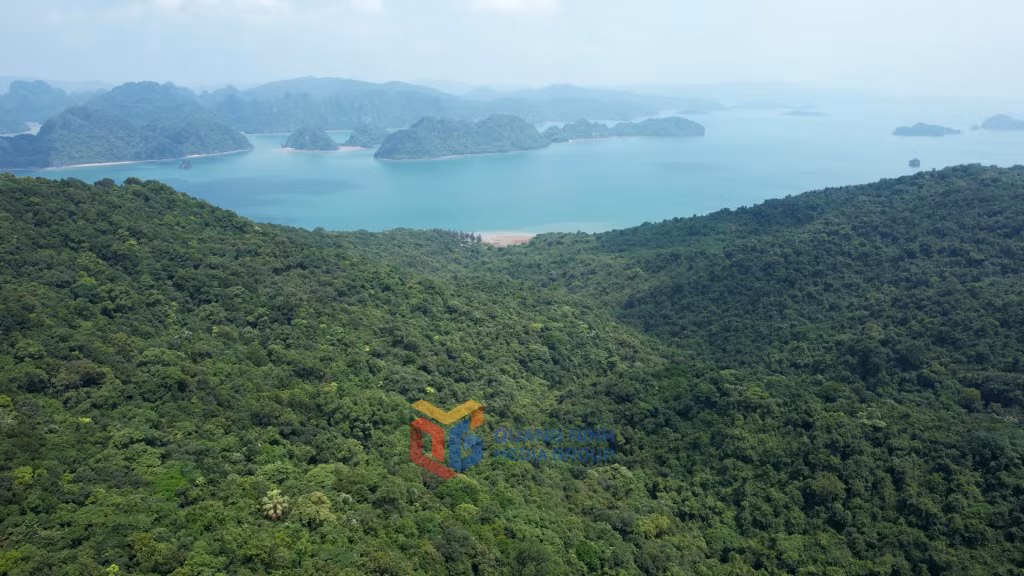 Vườn Quốc gia Bái Tử Long có nhiều điểm đến thuộc hành trình du lịch vịnh Bái Tử Long được khai trương từ tháng 3/2025. Trong ảnh: Một góc đảo Ba Mùn thuộc Vườn Quốc gia Bái Tử Long.