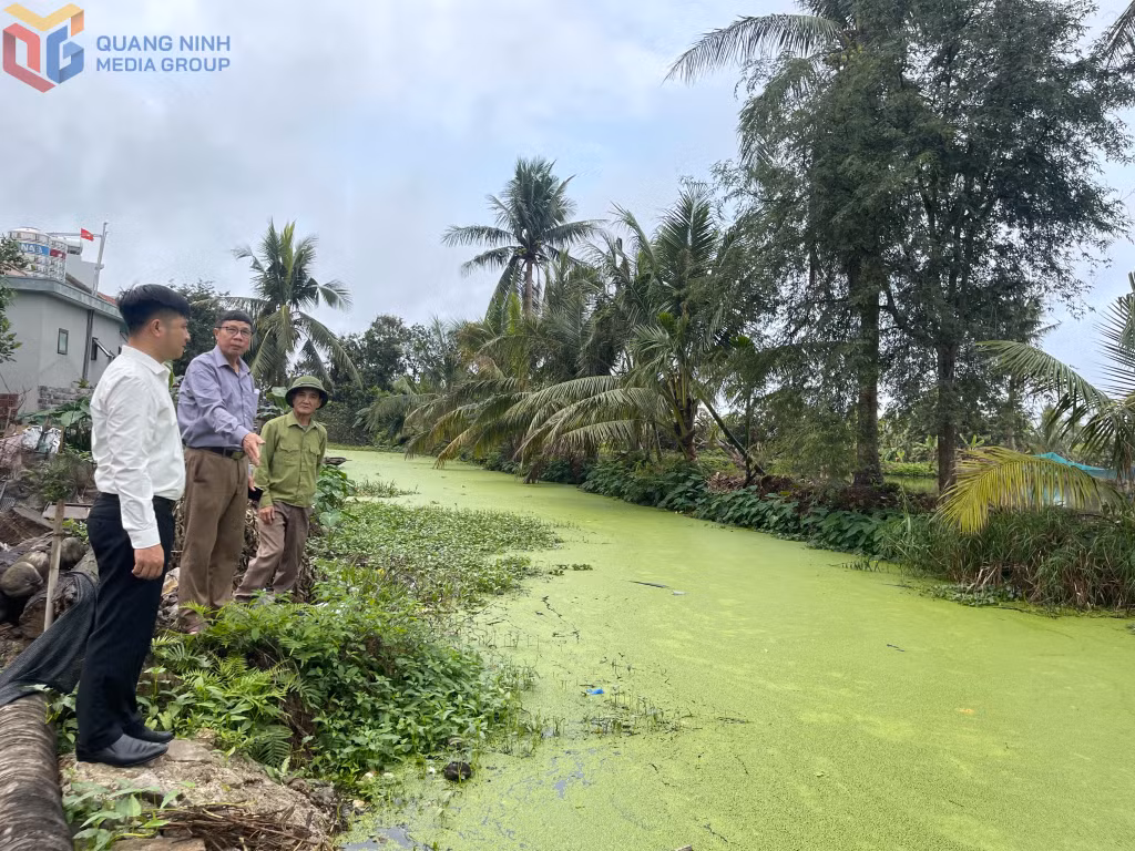 Tình trạng ô nhiễm môi trường ở khu 1, khu 2, phường Yên Hải.