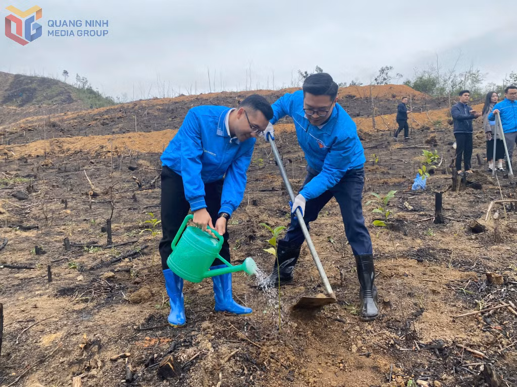 Đoàn viên, thanh niên TP Hạ Long tham gia hoạt động trồng cây tại xã Tân Dân.