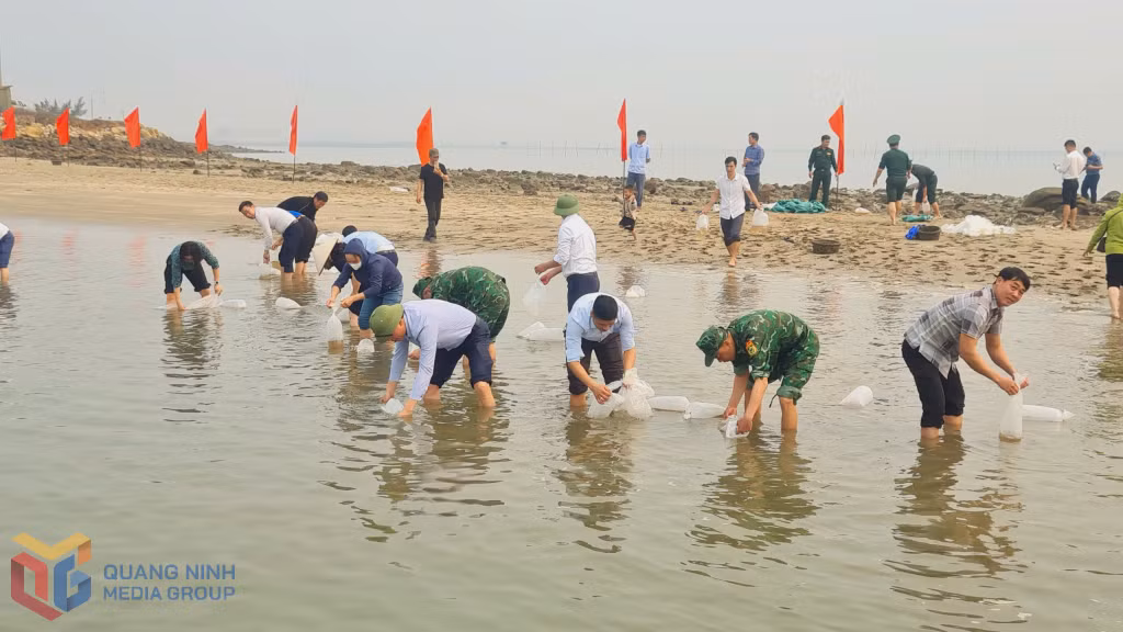 Các đại biểu và nhân dân huyện Hải Hà thả giống thuỷ sản ra vùng biển khu vực bến Ghềnh Võ, thị trấn Quảng Hà (Hải Hà) ngày 28/3 (Ảnh: Thanh trường-CTV)