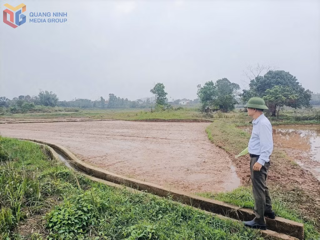 Lãnh đạo xã Đông Ngũ (huyện Tiên Yên) kiểm tra hệ thống kênh mương trên địa bàn xã.
