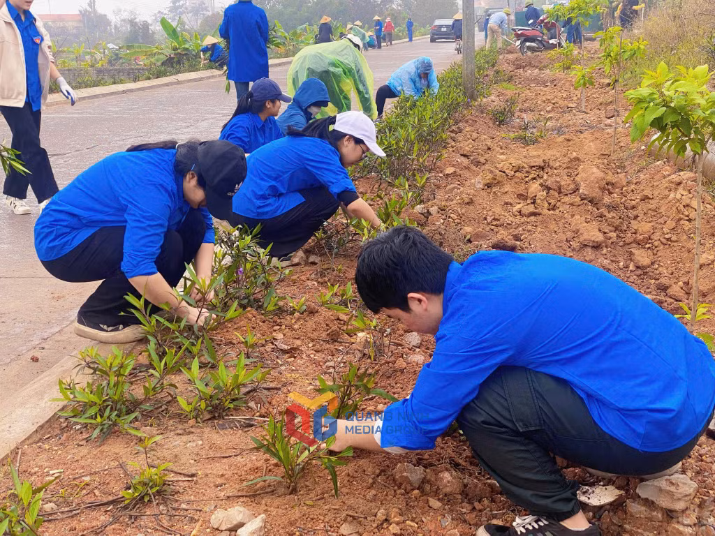 Đoàn phường Tuần Châu ra quân Ngày Chủ Nhật Xanh tổ chức trồng cây xanh, chăm sóc cây có hoa.