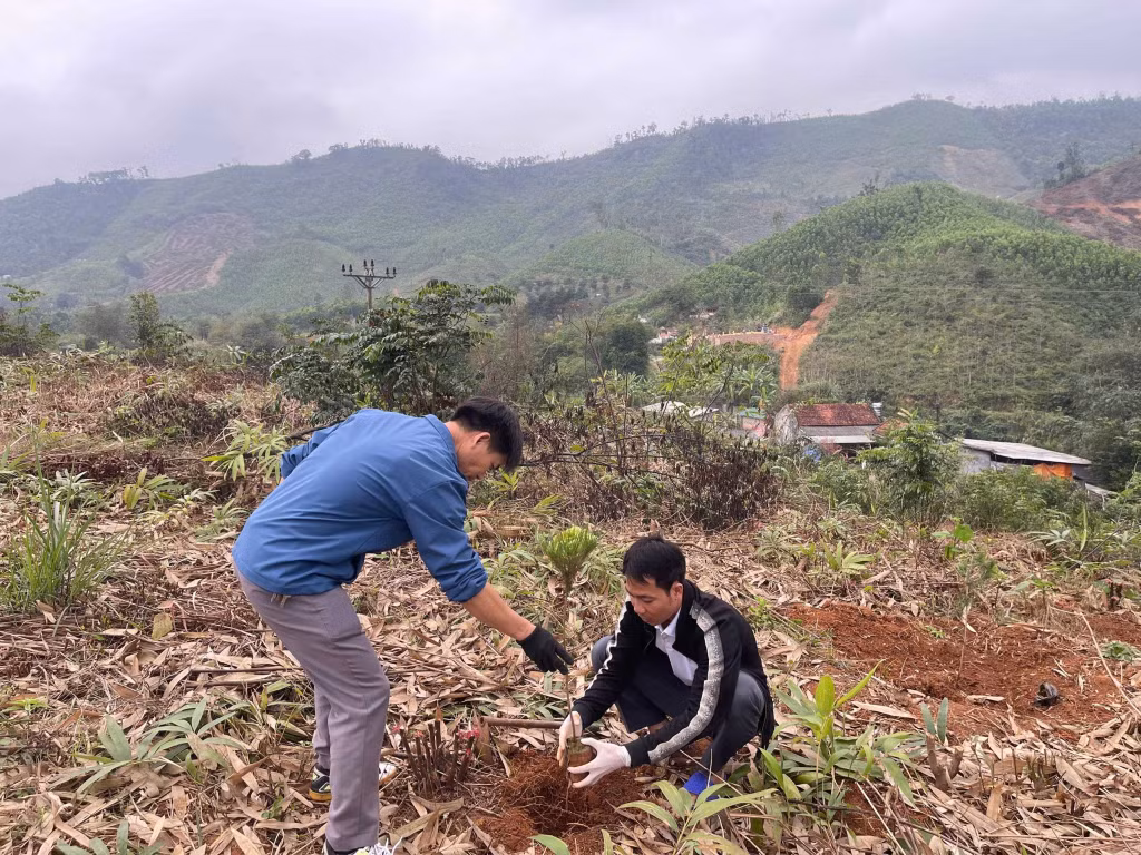 Nhân dân xã Ba Chẽ tham gia trồng cây tại lễ phát động “Tết trồng cây đời đời nhớ ơn Bác Hồ” Xuân Bính Ngọ năm 2026. Ảnh: Thùy Loan (CTV).
