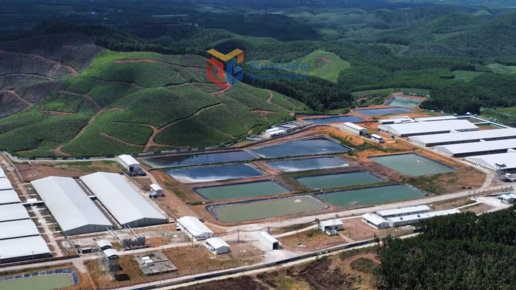 Trang trại chăn nuôi lợn công nghệ cao của Công ty CP Chăn nuôi Greentech (xã Đường Hoa) là một trong 6 dự án nông nghiệp được thu hút trong giai đoạn 2021-2025, tuy nhiên không thuộc danh mục được hưởng chính sách ưu đãi theo Nghị quyết số 194/2019/NQ-HĐND. Ảnh: Hữu Việt