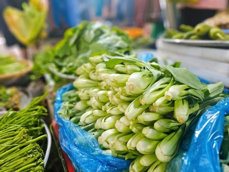 Các loại rau cải - Ảnh: NHẬT XUÂN