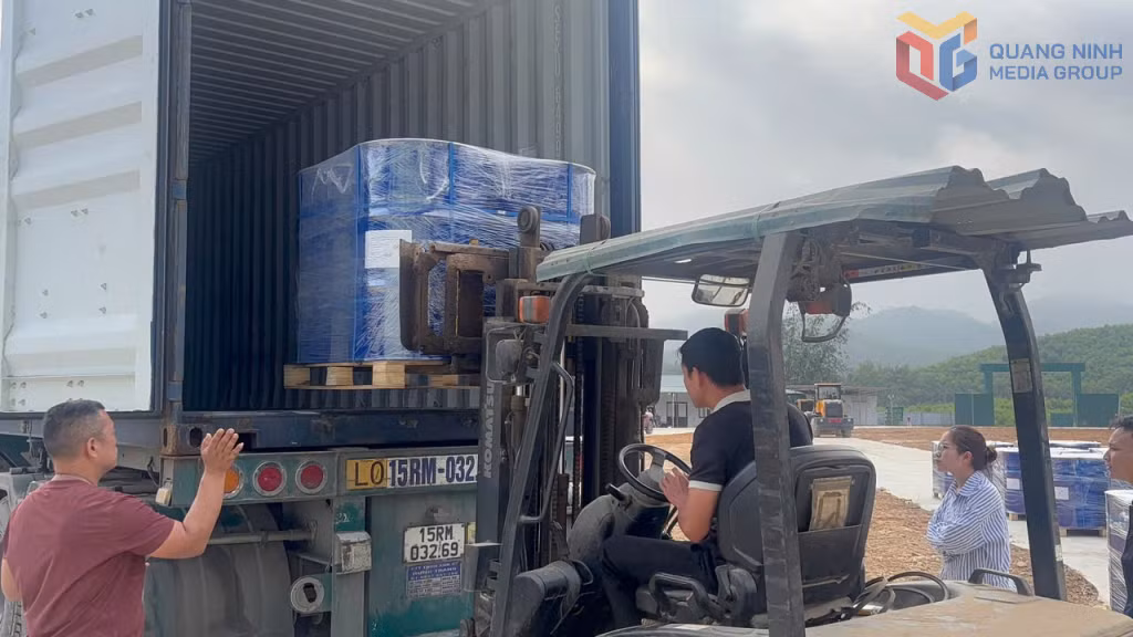 Đây là lô hàng đầu tiên Công ty TNHH MTV Quế Ba Chẽ xuất khẩu vào thị trường Mỹ kể từ khi đi vào vận hành tháng 11/2025.