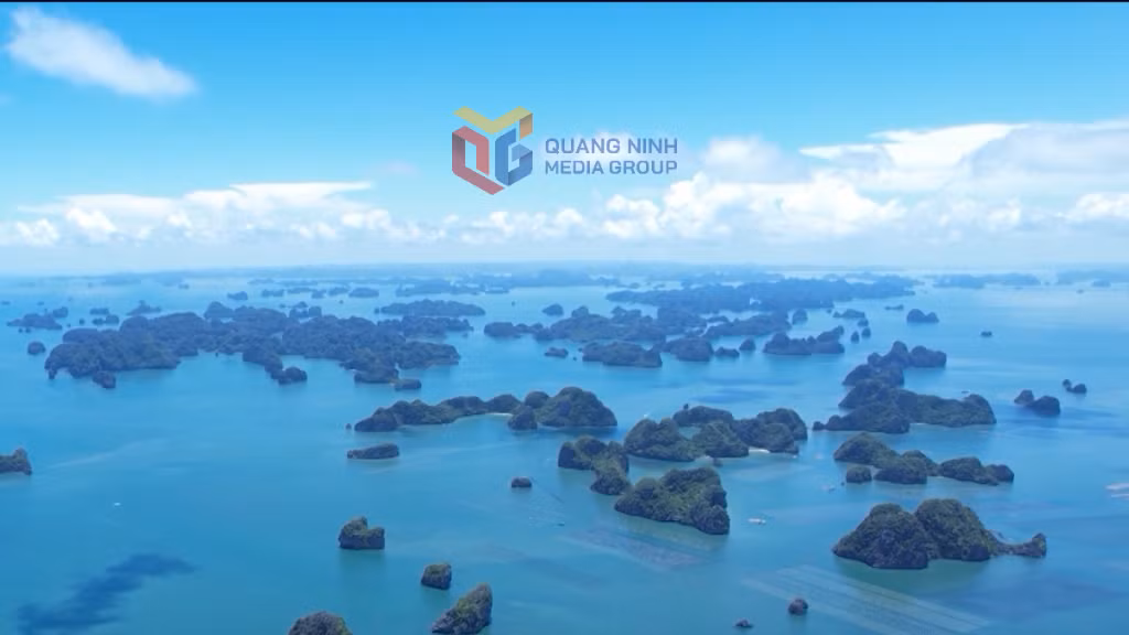 Vịnh Bái Tử Long nổi bật với vẻ đẹp hoang sơ, cùng hàng trăm đảo đá vôi kỳ vĩ, nhiều hang động độc đáo tạo nên bức tranh thiên nhiên nguyên sơ, hấp dẫn.