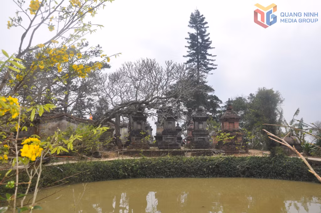 Thời điểm này, mai vàng Yên Tử đang bung nở vào độ rực rỡ nhất, tạo vẻ đẹp đặc biệt cho các di tích cổ kính nơi đây.