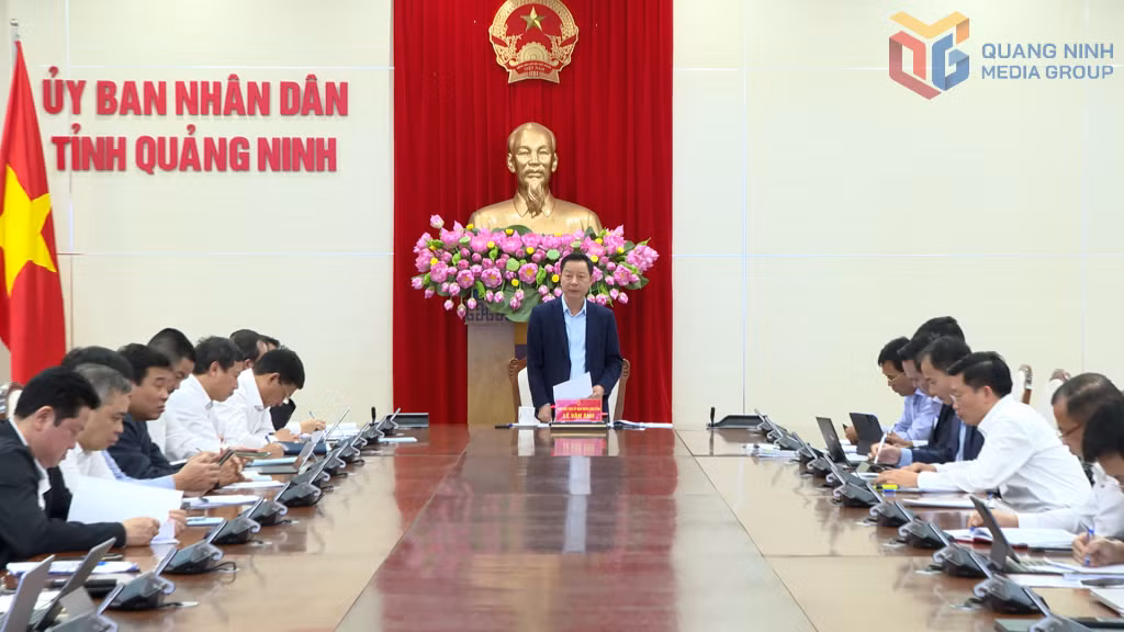 Đồng chí Lê Văn Ánh, Phó Chủ tịch UBND tỉnh phát biểu chỉ đạo tại cuộc họp.