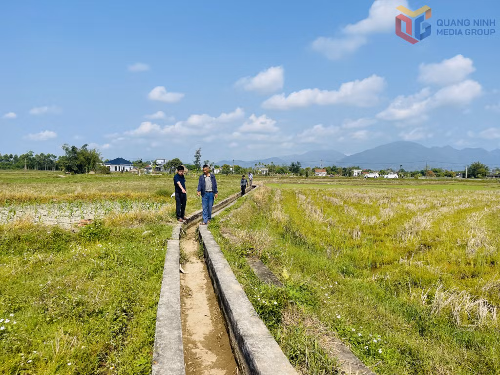 Chính quyền địa phương kiểm tra hiện trạng các tuyến kênh tưới tiêu trên địa bàn thôn Tân Mai.