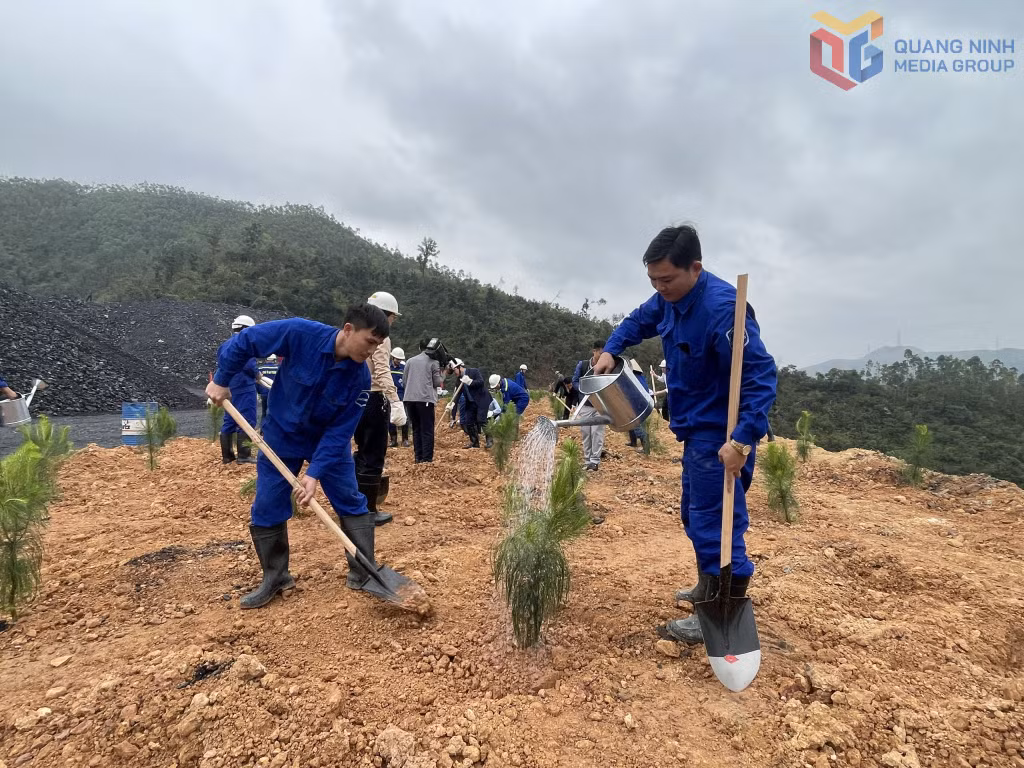 Đông đảo cán bộ, công nhân Công ty CP Than Vàng Danh hưởng ứng Lễ phát động “Tết trồng cây đời đời nhớ ơn Bác Hồ” xuân Bính Ngọ 2026 tại khu vực bãi thải tuyển Vàng Danh 2.