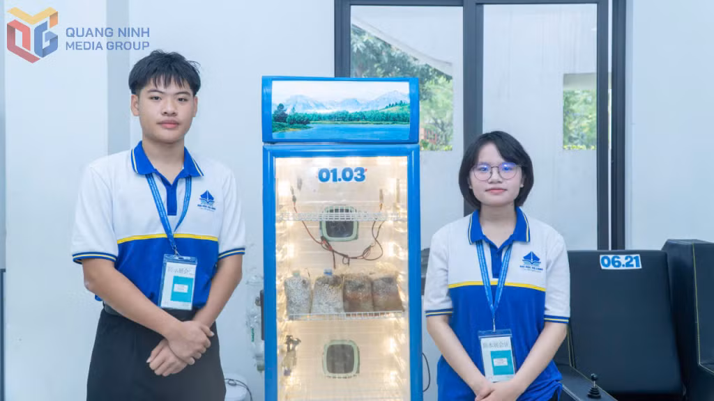 Nhóm học sinh Nguyễn Hoàng Minh và Nguyễn Quỳnh Giao (lớp 10A1, Trường TH, THCS và THPT Thực hành Sư phạm, Đại học Hạ Long) với dự án: “Tích hợp công nghệ sinh học và hệ thống IoT trong nhân nuôi sinh khối hệ sợi nấm chẹo tỉnh Quảng Ninh, định hướng nông nghiệp công nghệ cao”.