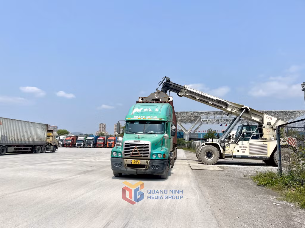 Công ty CP Xuất nhập khẩu quốc tế Tân Đại Dương trang bị các máy móc hiện đại, có thể bốc xếp trên 10.000 tấn hàng hóa/ngày, đủ khả năng đáp ứng ngay cả khi lượng phương tiện và hàng hóa tăng đột biến.
