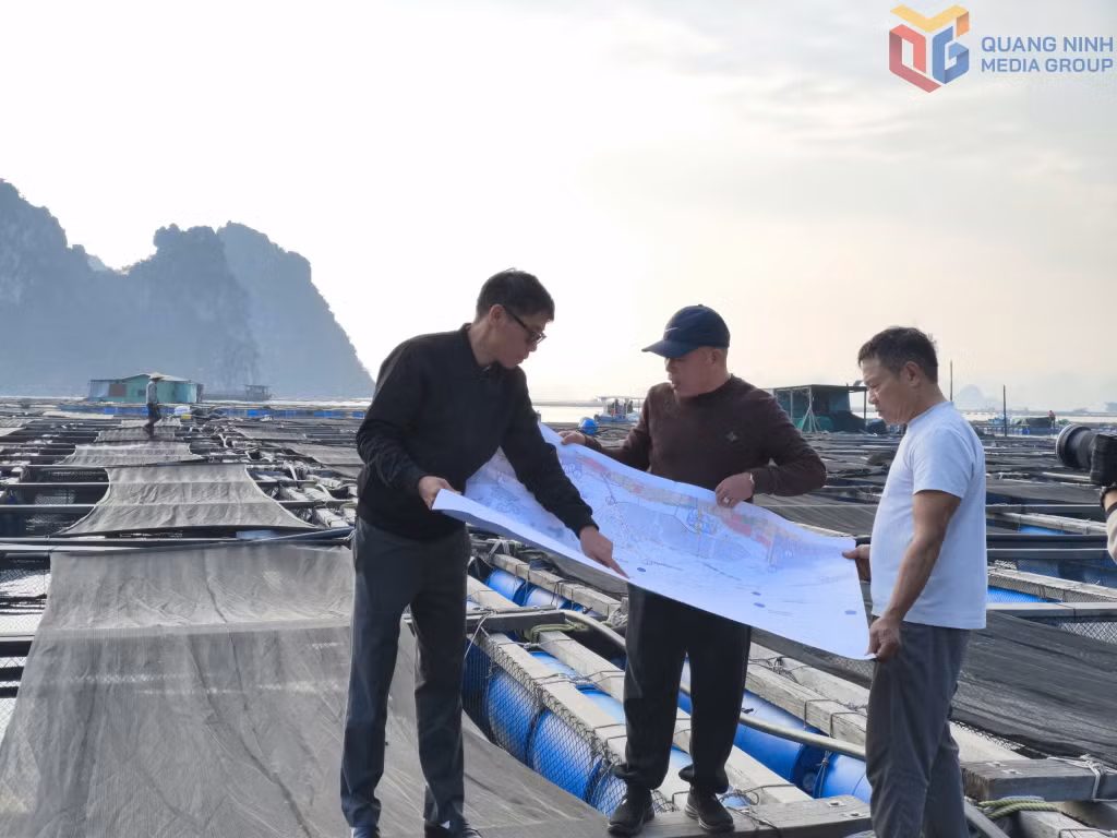 Cán bộ phường Cẩm Phả trao đổi với xã viên HTX Hướng Dương về khu vực giao biển của HTX. Ảnh: Thanh Hoa