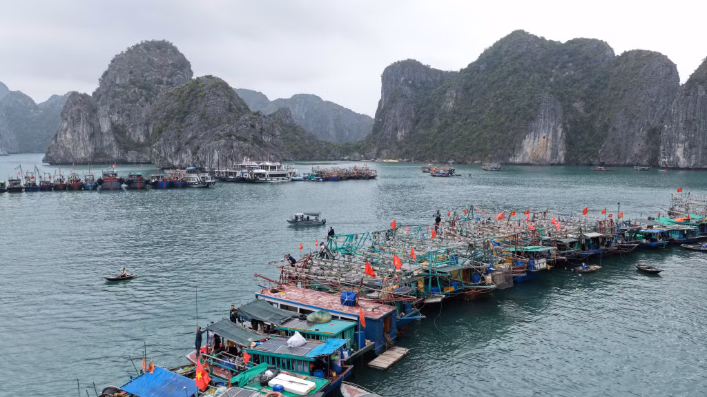 Tàu đánh cá của ngư dân tập trung về đảo Đầu Bê từ sớm ngày 19 tháng Giêng để dâng lễ tại đền Bà Men.