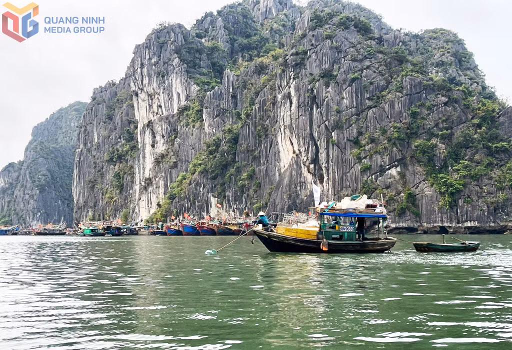 Lực lượng Ban Quản lý Di sản thế giới Vịnh Hạ Long - Yên Tử thu gom, vớt rác trên Vịnh Hạ Long, góp phần làm sạch môi trường, giữ gìn cảnh quan Di sản.