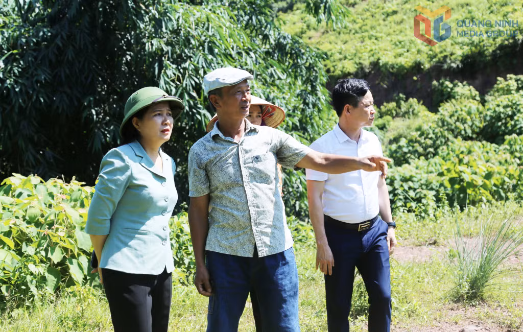 Đoàn ĐBQH tỉnh giám sát các chương trình mục tiêu quốc gia tại huyện Tiên Yên (trước đây) tháng 7/2023. Ảnh: Nguyễn Thanh