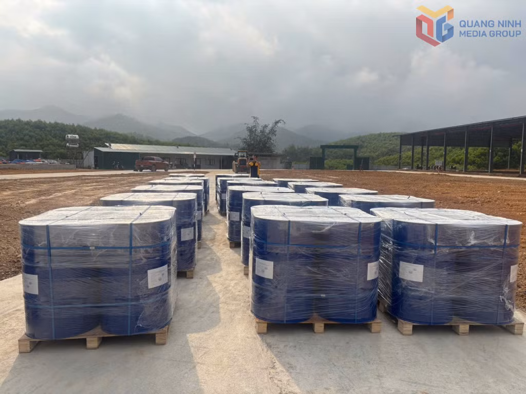 Lô hàng 160 tấn tinh dầu quế của Công ty TNHH MTV Quế Ba Chẽ xuất đi Mỹ sáng ngày 23/3.