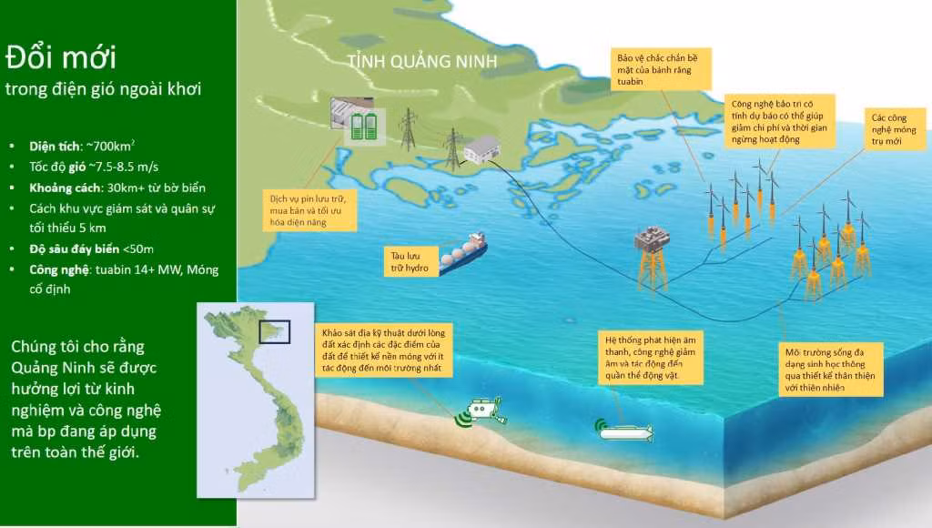 Tập đoàn BP (Anh Quốc) đánh giá tiềm năng điện gió tại Quảng Ninh.