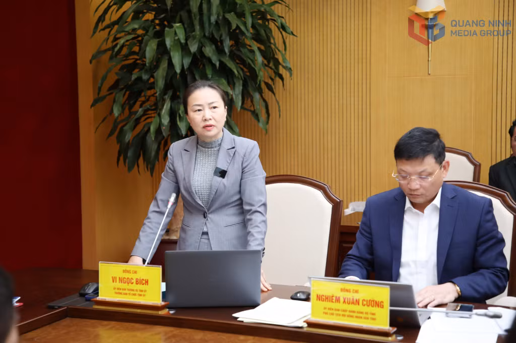 Đồng chí Vi Ngọc Bích, Trưởng Ban Tổ chức Tỉnh ủy, phát biểu tại buổi làm việc.