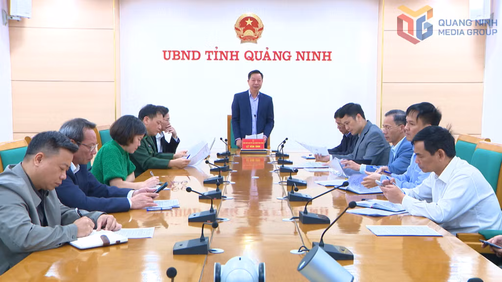 Đồng chí Lê Văn Ánh, Phó Chủ tịch UBND tỉnh phát biểu chỉ đạo tại buổi làm việc. 