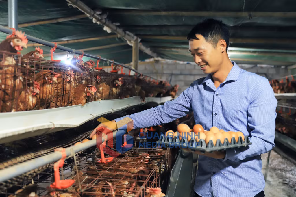 Mô hình nuôi gà đẻ trứng người dân thôn Bản Pạt, xã Lục Hồn (12-2019). Ảnh: Minh Đức