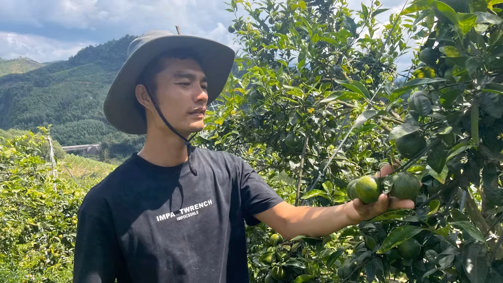 HTX Lục Lâm phát triển giống cam 