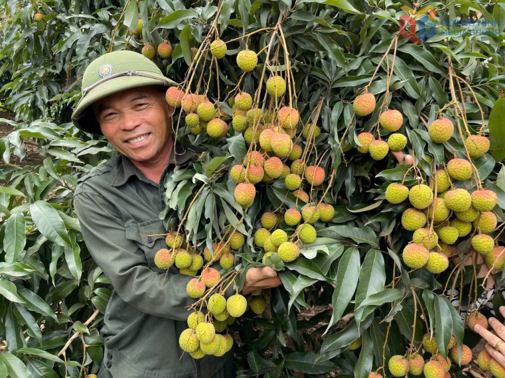 Các sản phẩm OCOP của Quảng Ninh tiếp tục được nâng tầm về chất lượng, thương hiệu. Ảnh: Nguyên Ngọc