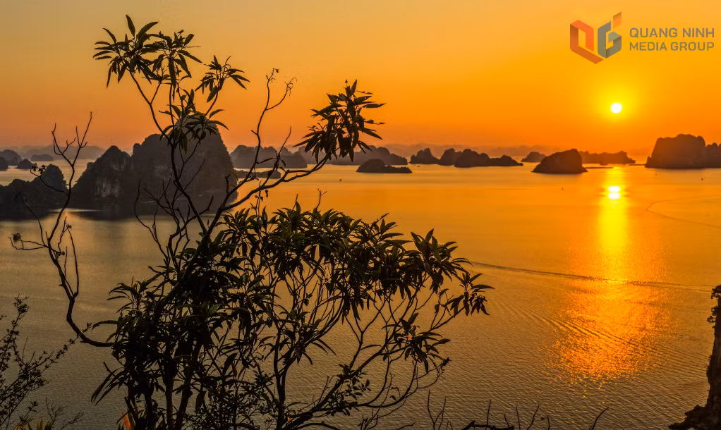 ...như một bức tranh thủy mặc kỳ vĩ.