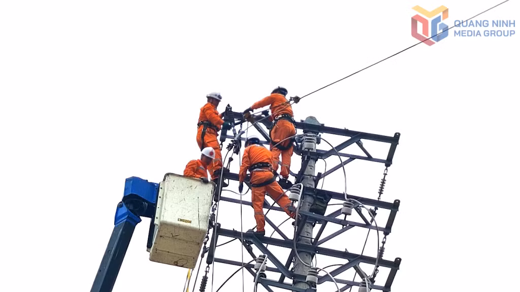 Xử lý khiếm khuyết đường dây trung thế khu vực Hạ Long.