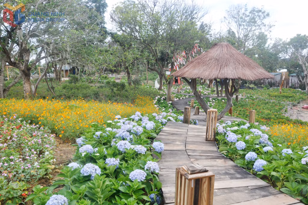 Vườn hoa được đầu tư làm điểm cà phê - check in tại khu du lịch Co To Village trên đảo Cô Tô.