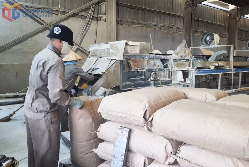 Sản xuất tùng hương tại Công ty CP Thông Quảng Ninh.