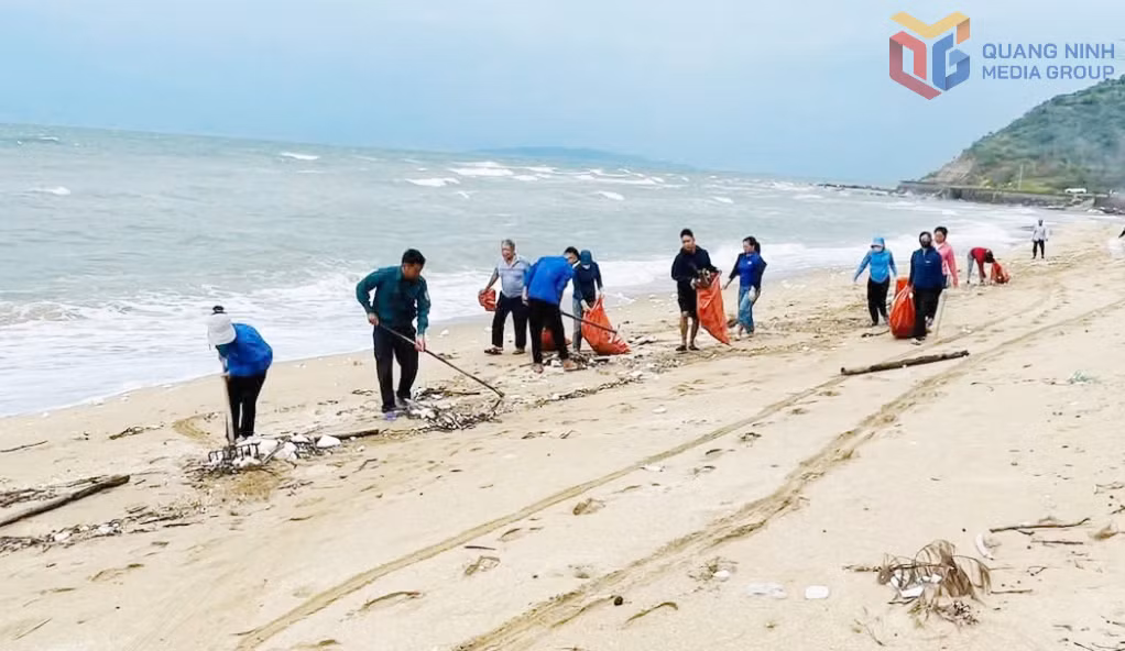 Các cơ quan, ban ngành, lực lượng chức năng và nhân dân xã đảo Vĩnh Thực phối hợp tham gia dọn dẹp rác thải trên bãi biển.