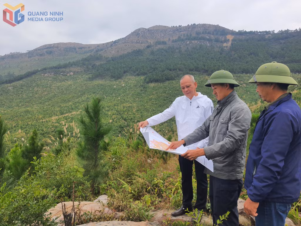 Cán bộ Công ty CP Thông Quảng Ninh kiểm tra diện trồng rừng năm 2026.