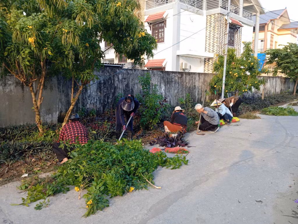 Ngươi dân phường Móng Cái 1 dọn vệ sinh môi trường, cải tạo cảnh quan, nâng cao chất lượng đô thị. Ảnh: Trần Tương (CTV)