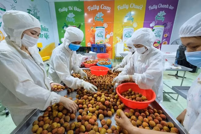 Xuất khẩu nông sản năm 2026 kỳ vọng đạt khoảng 40 tỉ USD. Ảnh: Hải Nguyễn