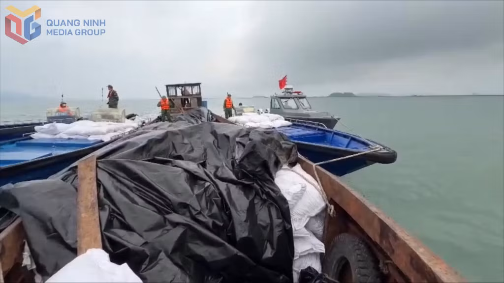 Sau nhiều ngày mật phục theo dõi trên tuyến biển, Đồn Biên phòng Cửa khẩu Van gia đã bắt quả tang 2 đối tượng, 3 phương tiện vận chuyển trái phéo 27 tấn cau khô.