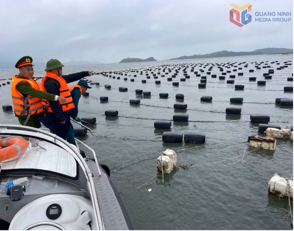 Lực lượng chức năng của xã tiến hành rà soát, kiểm tra thực tế tại các khu vực bãi triều ven biển để xử lý triệt để các trường hợp NTTS trái phép.