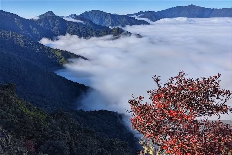 Thiên nhiên hoang sơ, mây trời lãng đãng ở Tà Xùa. Ảnh: Xu Kiên