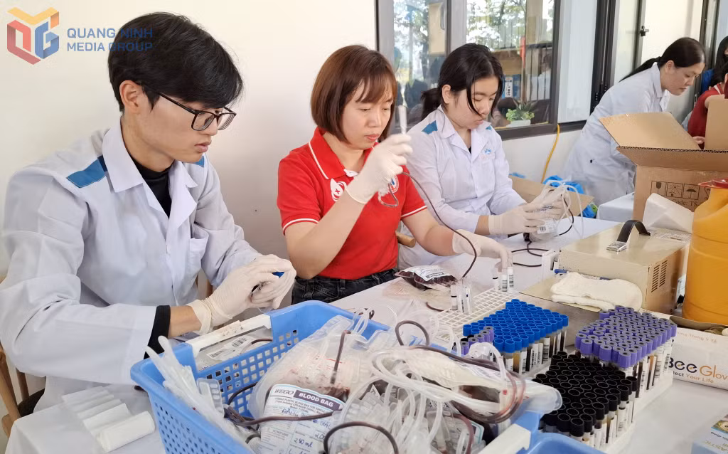 Nhân viên y tế cùng các tình nguyện viên Chữ thập đỏ thu những đơn vị máu vừa được hiến để đưa đi bảo quản.