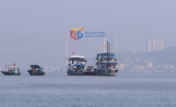 Tàu vi phạm cặp mạn giữa 2 tàu du lịch để bán hàng, ngày 14/1/2026.
