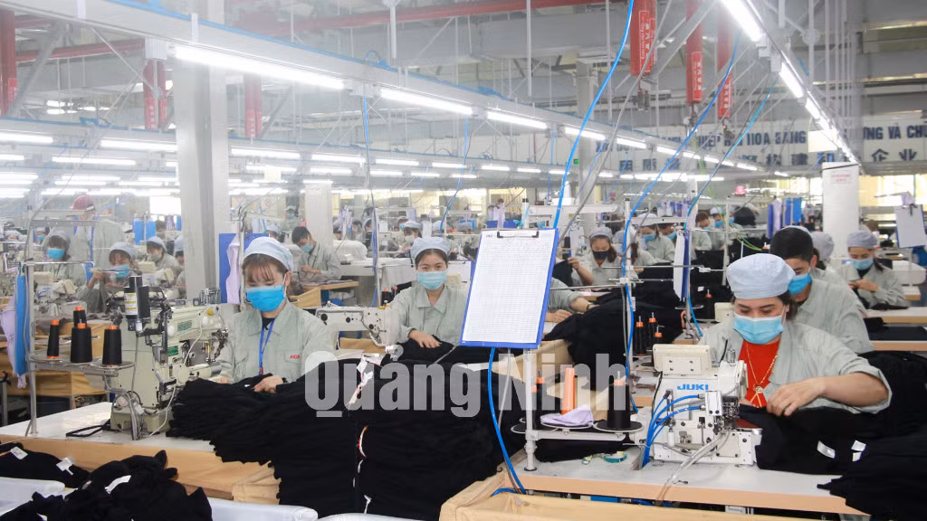Công ty TNHH May mặc Hoa Lợi Đạt Việt Nam (xã Quảng Hà) ảnh 8