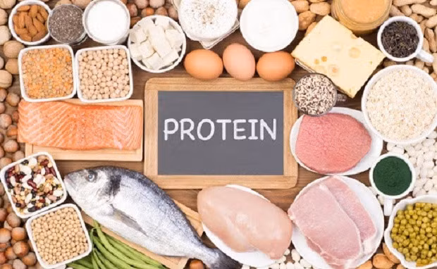 Protein là khối xây dựng chính của cơ thể, được sử dụng để tạo ra cơ, gân, các cơ quan và da, cũng như enzyme, hormone, chất dẫn truyền thần kinh và các phân tử khác nhau phục vụ nhiều chức năng quan trọng.