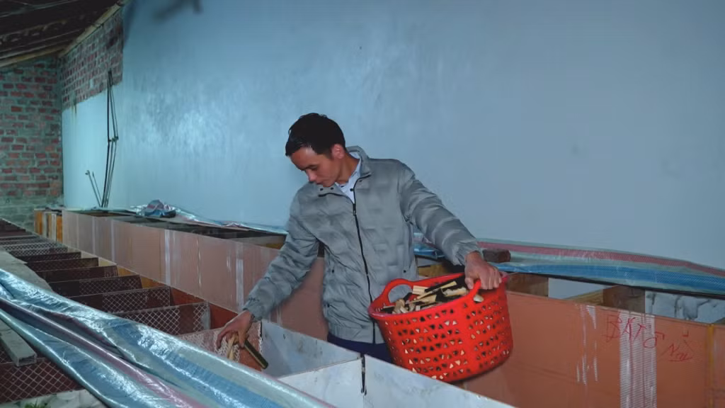 Hộ anh Triệu Kim Vày (thôn Tàu Tiên, xã Đồn Đạc) phát triển mô hình nuôi dúi.
