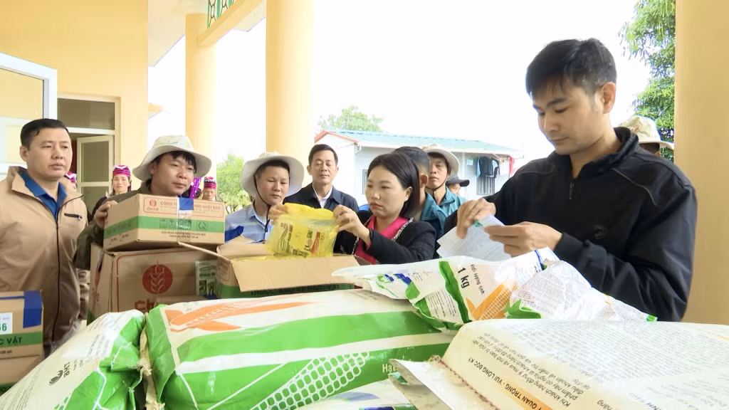 Trung tâm Dịch vụ kỹ thuật nông nghiệp huyện Hải Hà tổ chức cấp phát giống ngô cao sản NK6275 cho nhân dân. Ảnh: Thái Hà (Trung tâm TTVH Hải Hà)