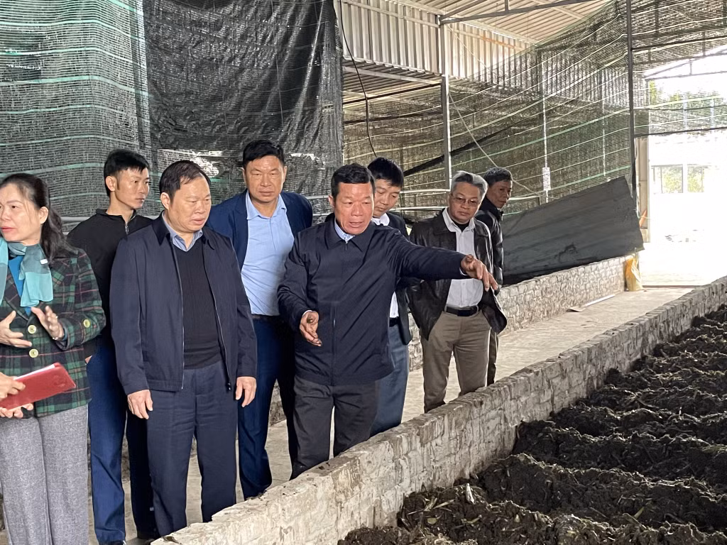 Ông Đồng Quang Cường (xã Cẩm La, TX Quảng Yên) giới thiệu mô hình nuôi giun làm phân hữu cơ.